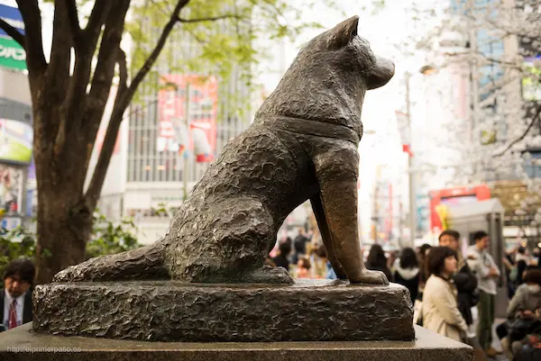 Estatua desde latera de hachiko en shibuya